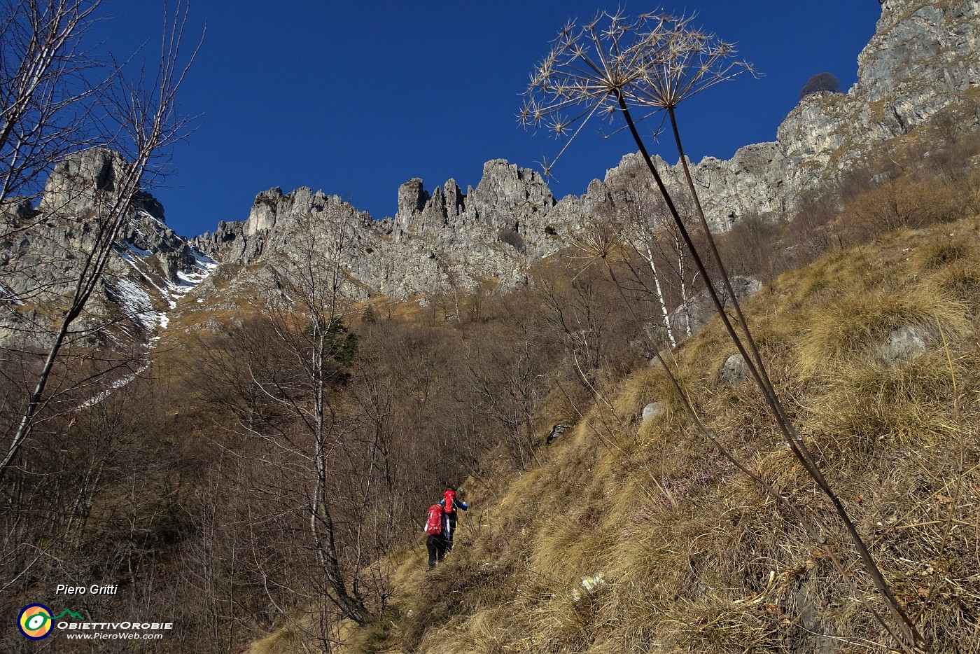 15 Attraversando un rado bosco.JPG